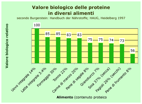 Valore Biologico Proteine Alimentari
