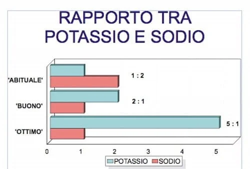 Rapporto sodio potassio
