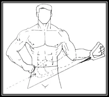 cuffia dei rotatori e body building