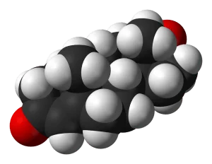 Testosterone naturale