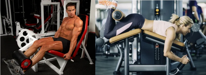 leg extension e leg curl servono