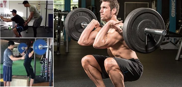 alta statura e body building