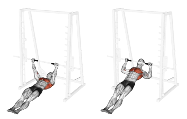 body rows - trazioni orizzontali