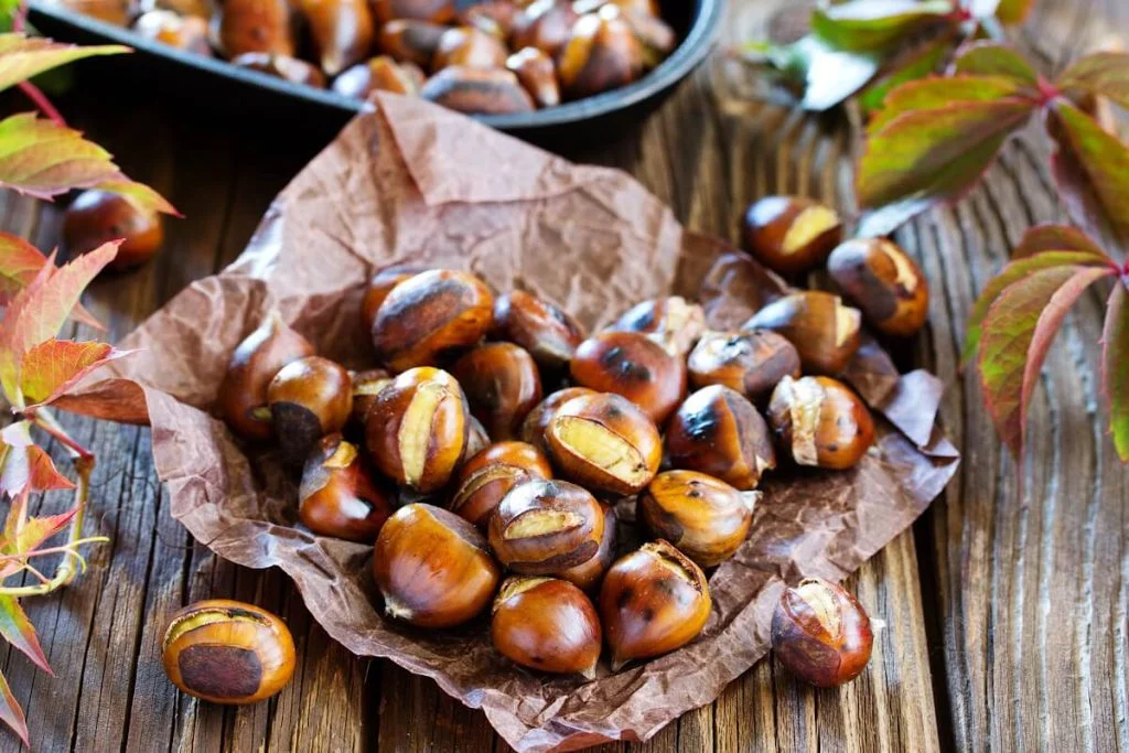 castagne e alimentazione sportiva