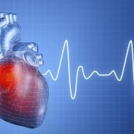 Sport e cuore - Risposta cardiaca all'attività sportiva