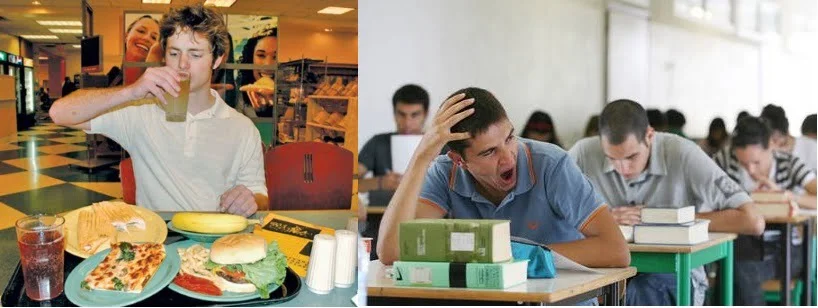 palestra e università