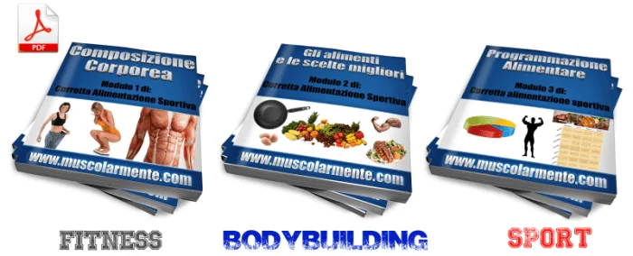 alimentazione body building