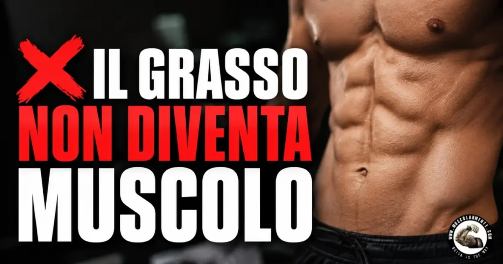 Il grasso non diventa muscolo: addome definito con testo che sfata il falso mito della trasformazione del grasso in massa muscolare.