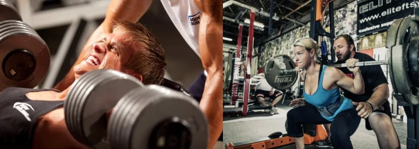 perché non cresco in palestra