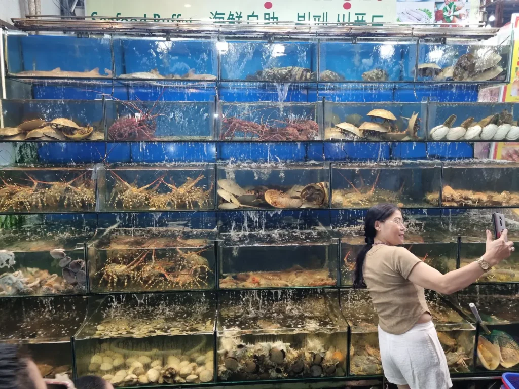 pesce e crostacei vivi in vasca in un ristorante in Vietnam a Phu Quoc
